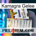 Kamagra Jelly 11